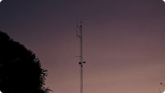 Jelte van der Goot drops new carnival hit